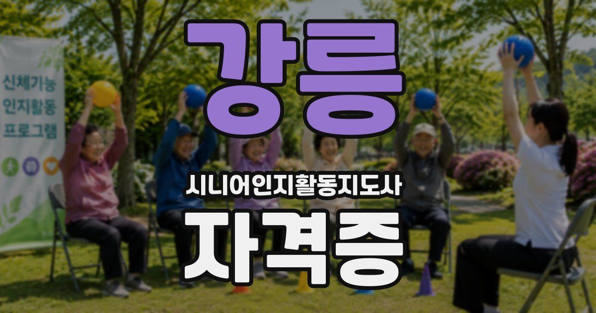 강릉 시니어인지활동지도사 자격증