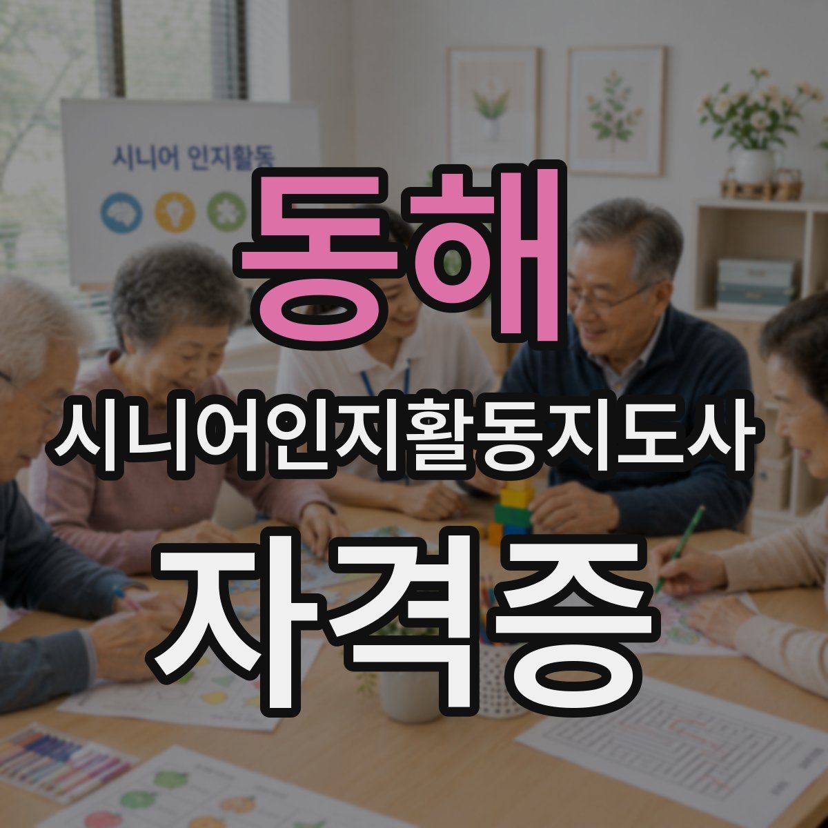 동해 시니어인지활동지도사 자격증