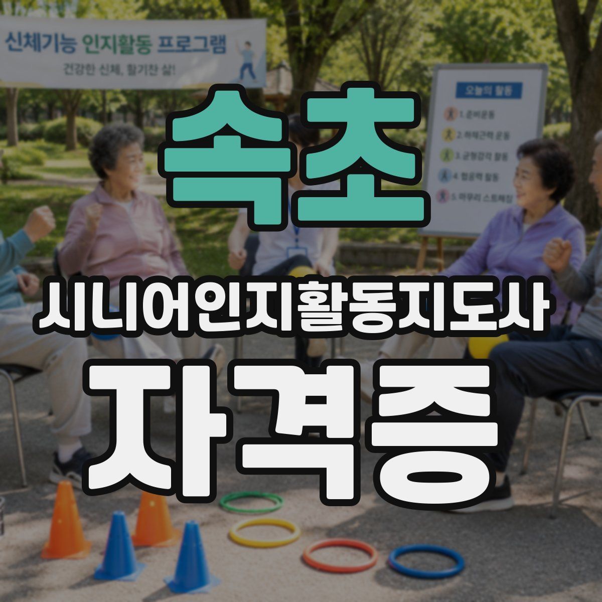 속초 시니어인지활동지도사 자격증