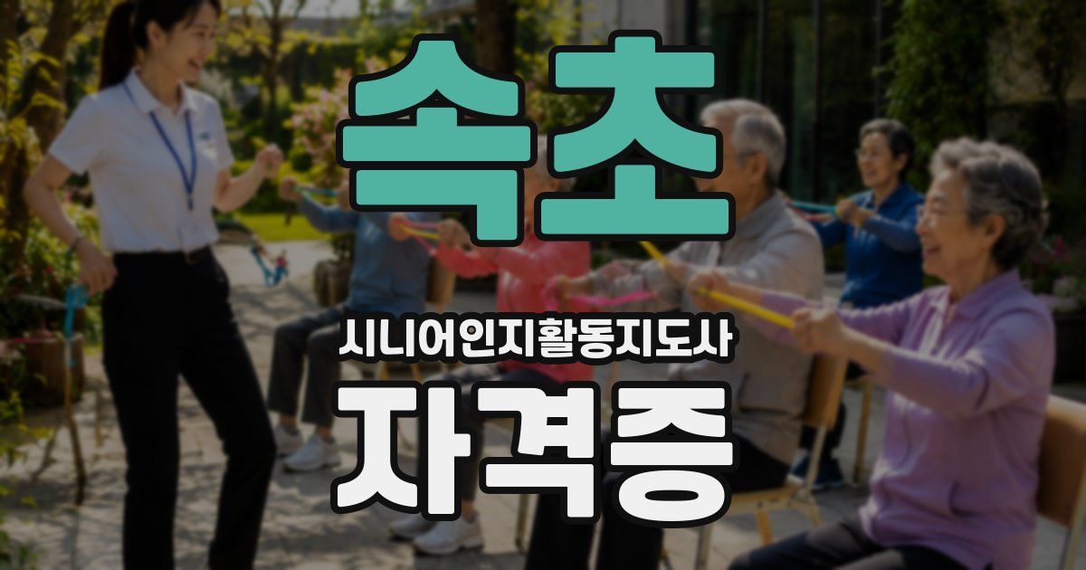 속초 시니어인지활동지도사 자격증