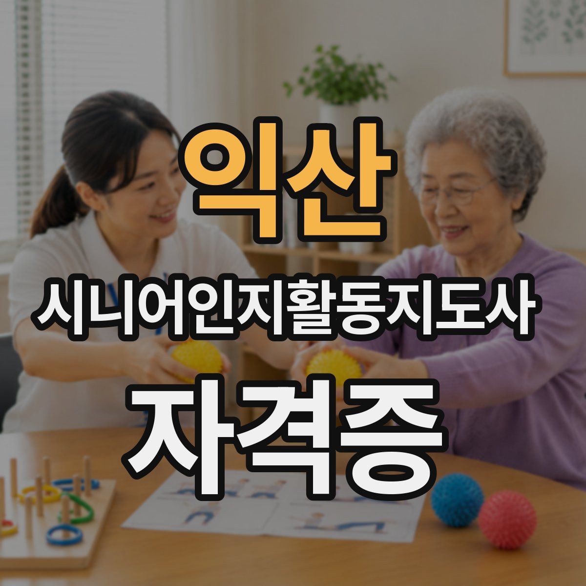 익산 시니어인지활동지도사 자격증