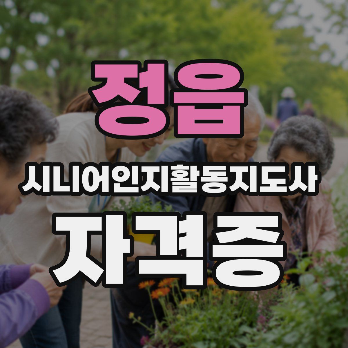 정읍 시니어인지활동지도사 자격증