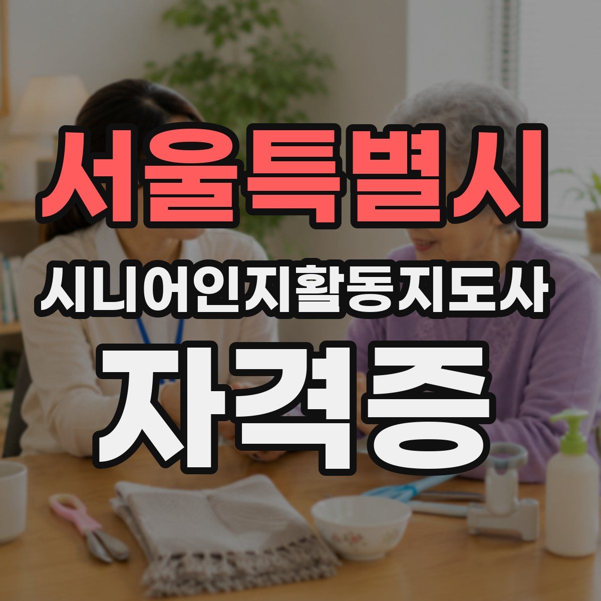 서울특별시 시니어인지활동지도사 자격증