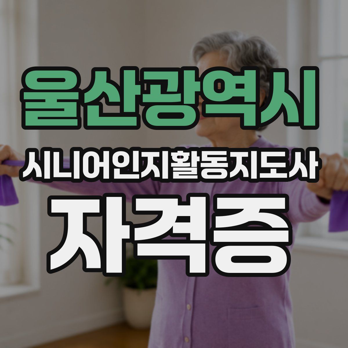 울산광역시 시니어인지활동지도사 자격증
