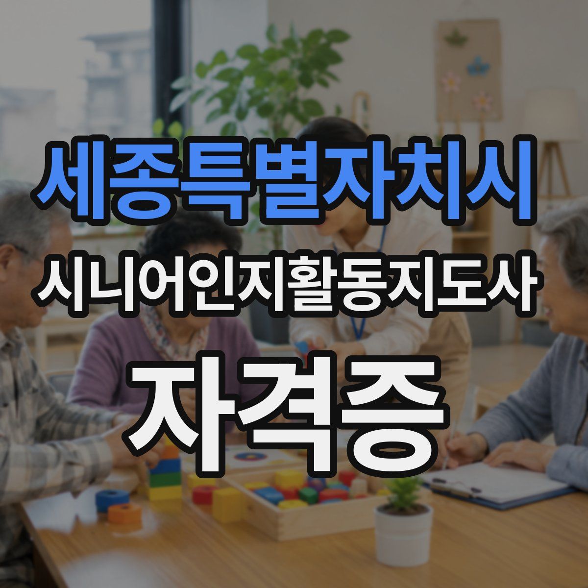 세종특별자치시 시니어인지활동지도사 자격증