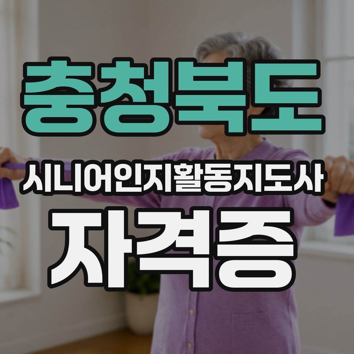 충청북도 시니어인지활동지도사 자격증