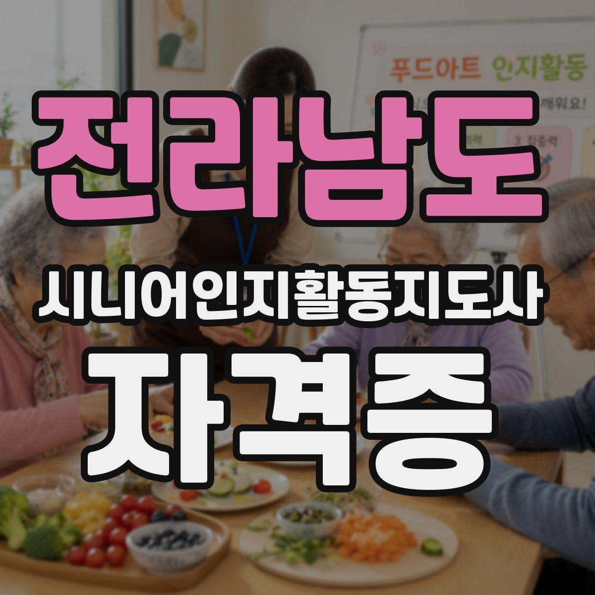 전라남도 시니어인지활동지도사 자격증