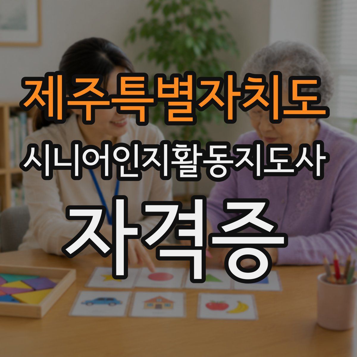 제주특별자치도 시니어인지활동지도사 자격증