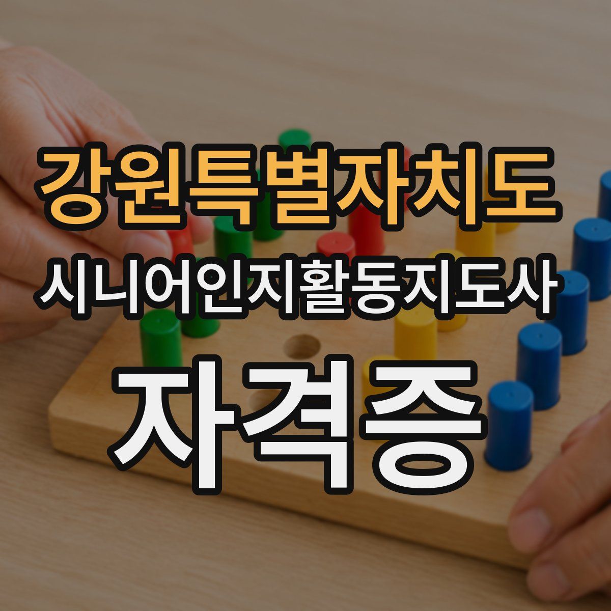 강원특별자치도 시니어인지활동지도사 자격증
