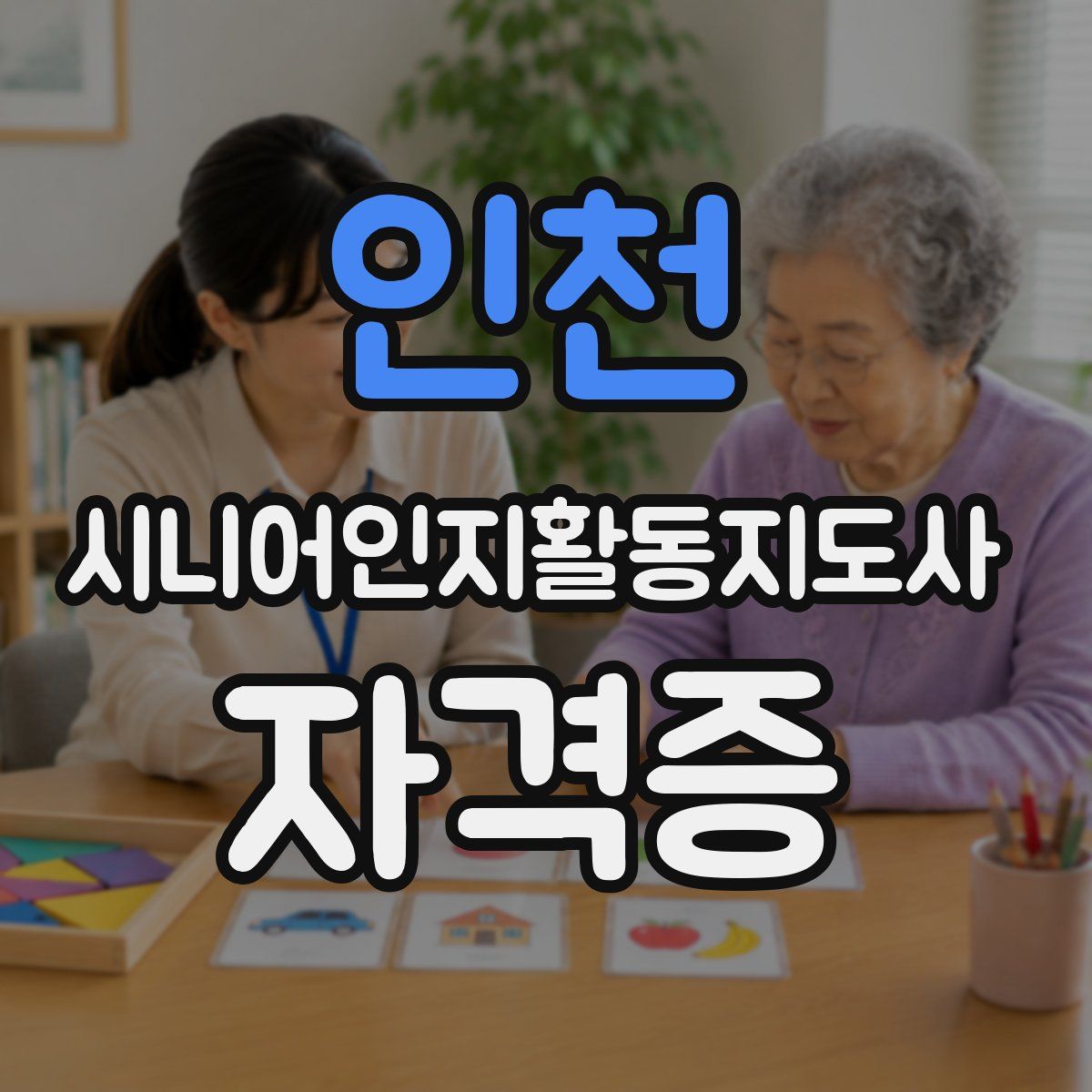 인천 시니어인지활동지도사 자격증