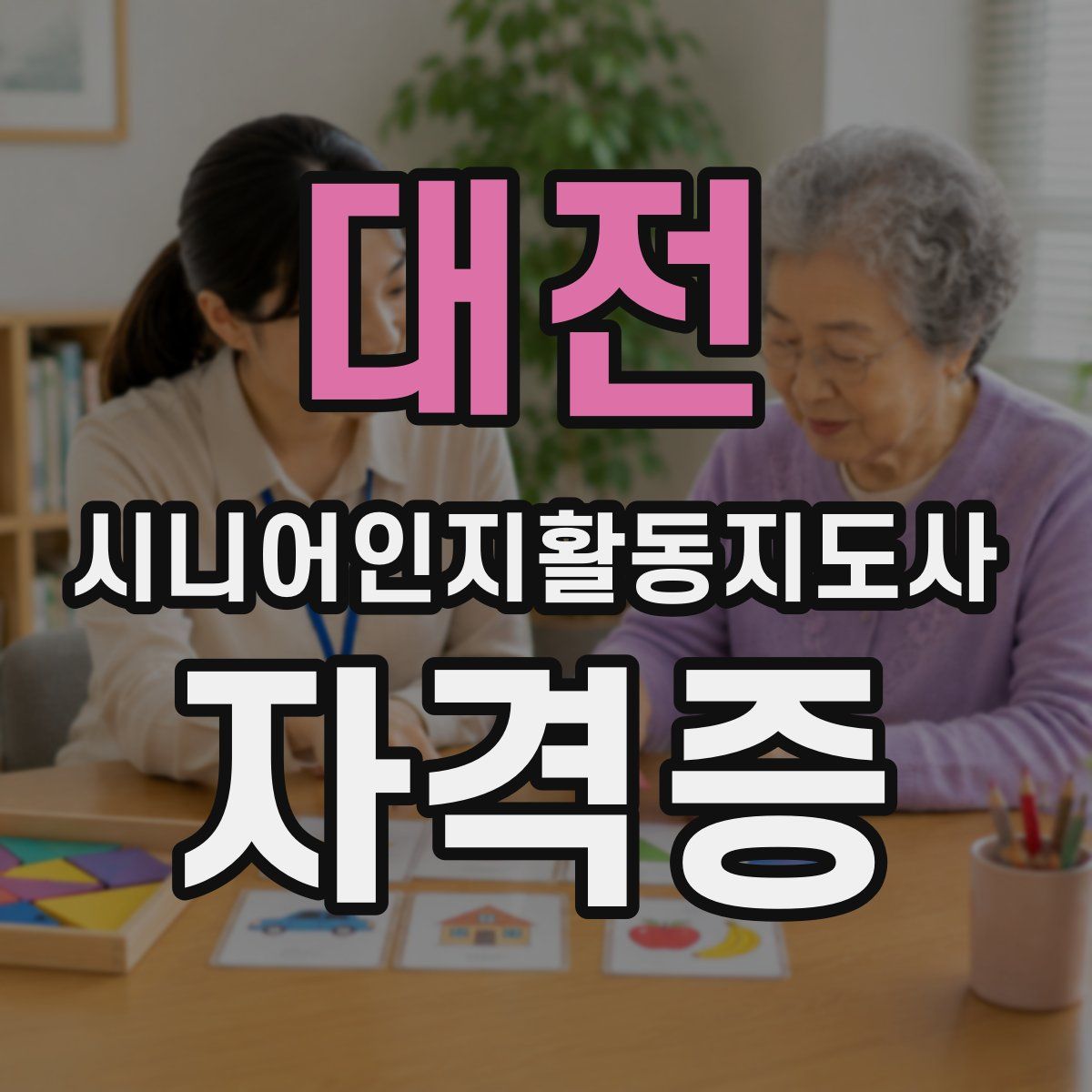 대전 시니어인지활동지도사 자격증