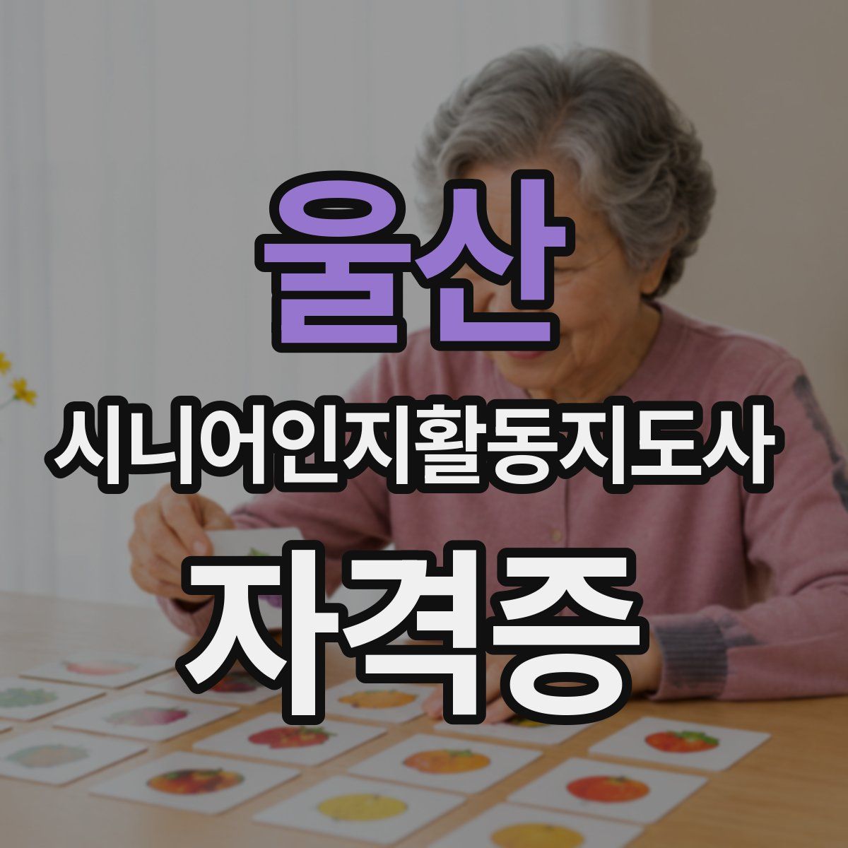 울산 시니어인지활동지도사 자격증