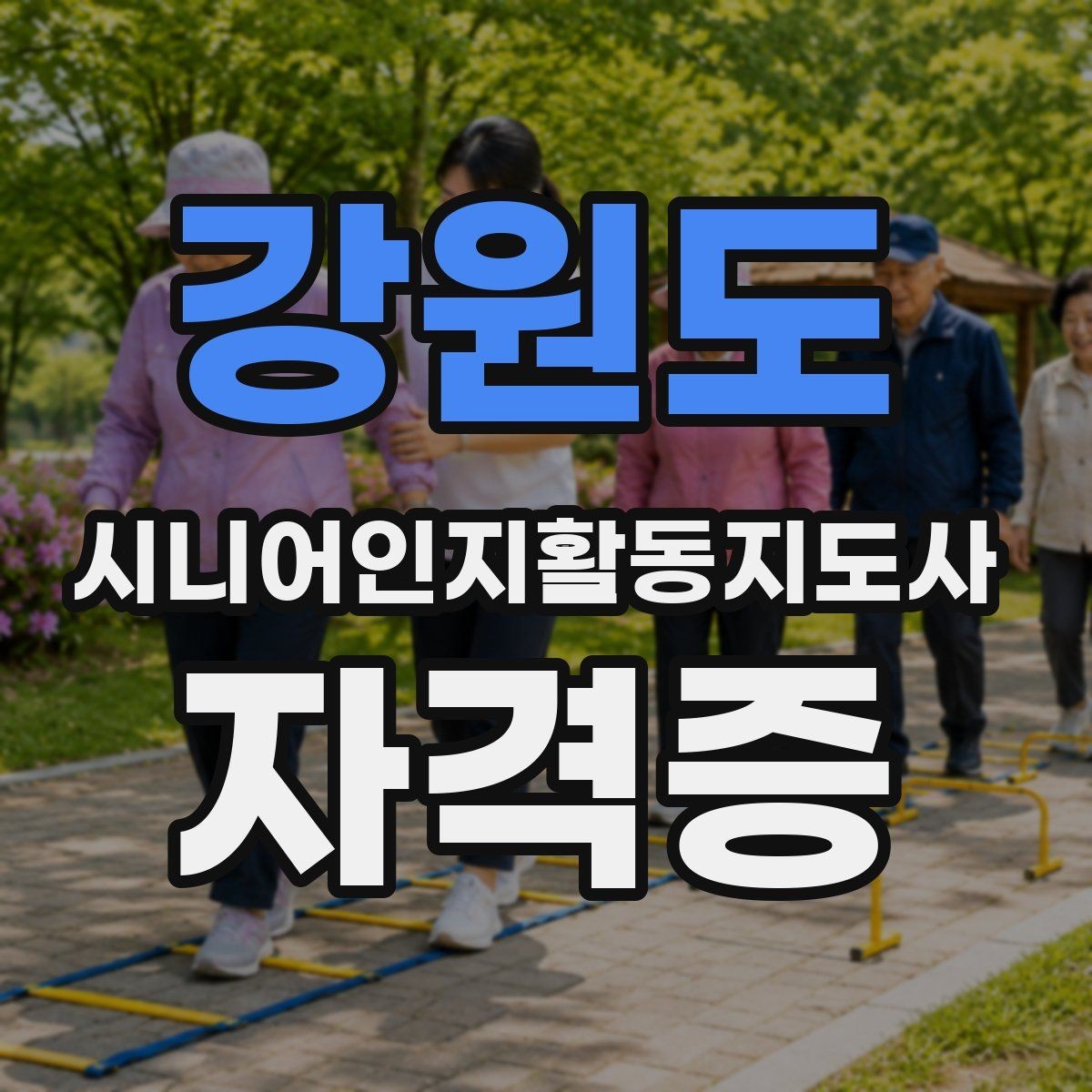강원도 시니어인지활동지도사 자격증 준비 후 활용까지 이어지는 과정