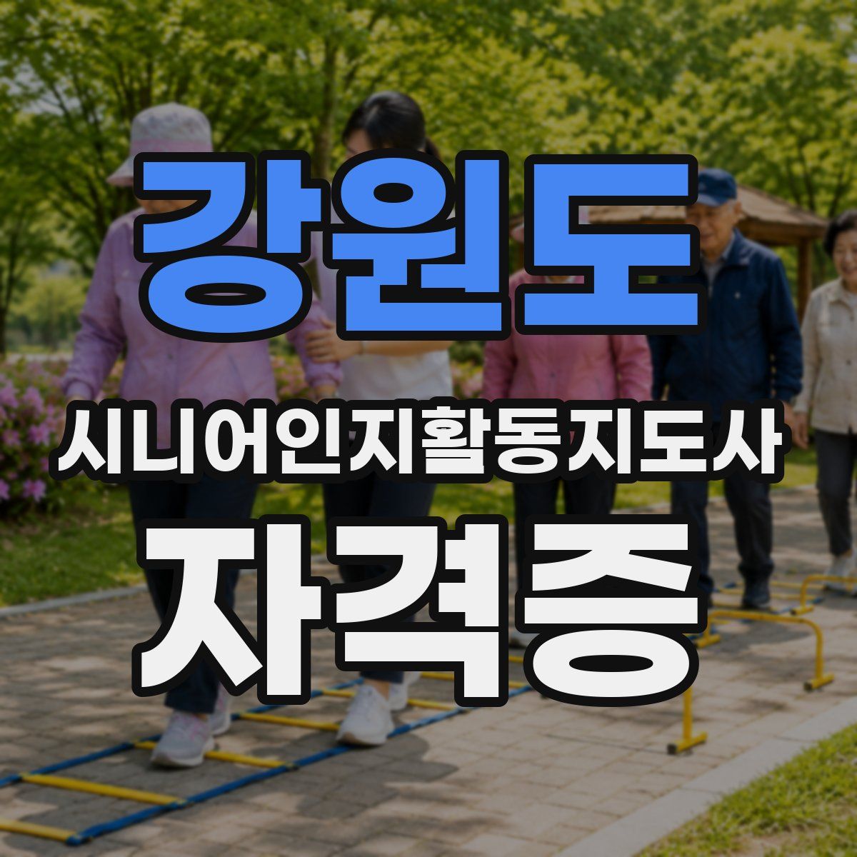 강원도 시니어인지활동지도사 자격증
