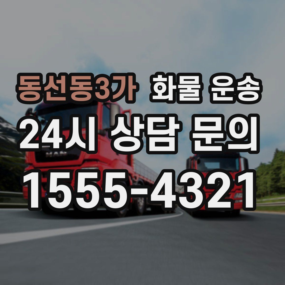 동선동3가 화물 운송