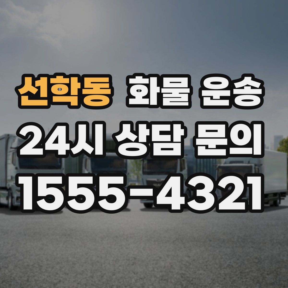 선학동 화물 운송