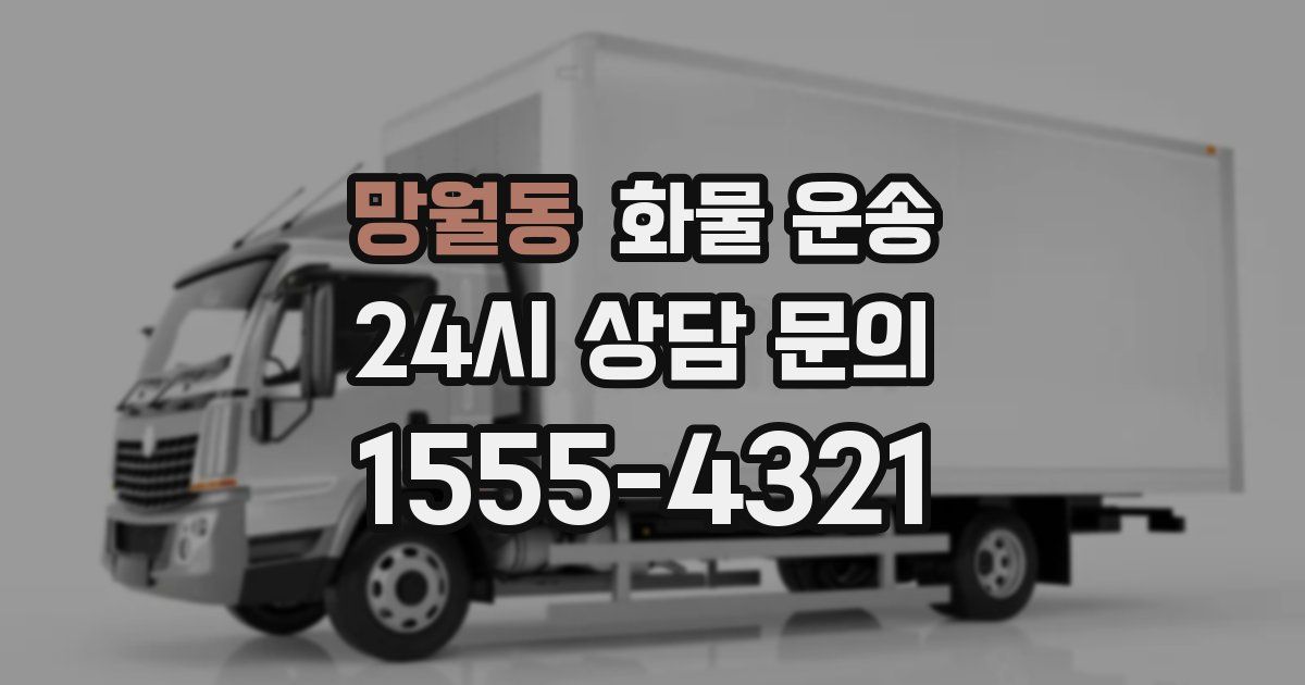 망월동 화물 운송