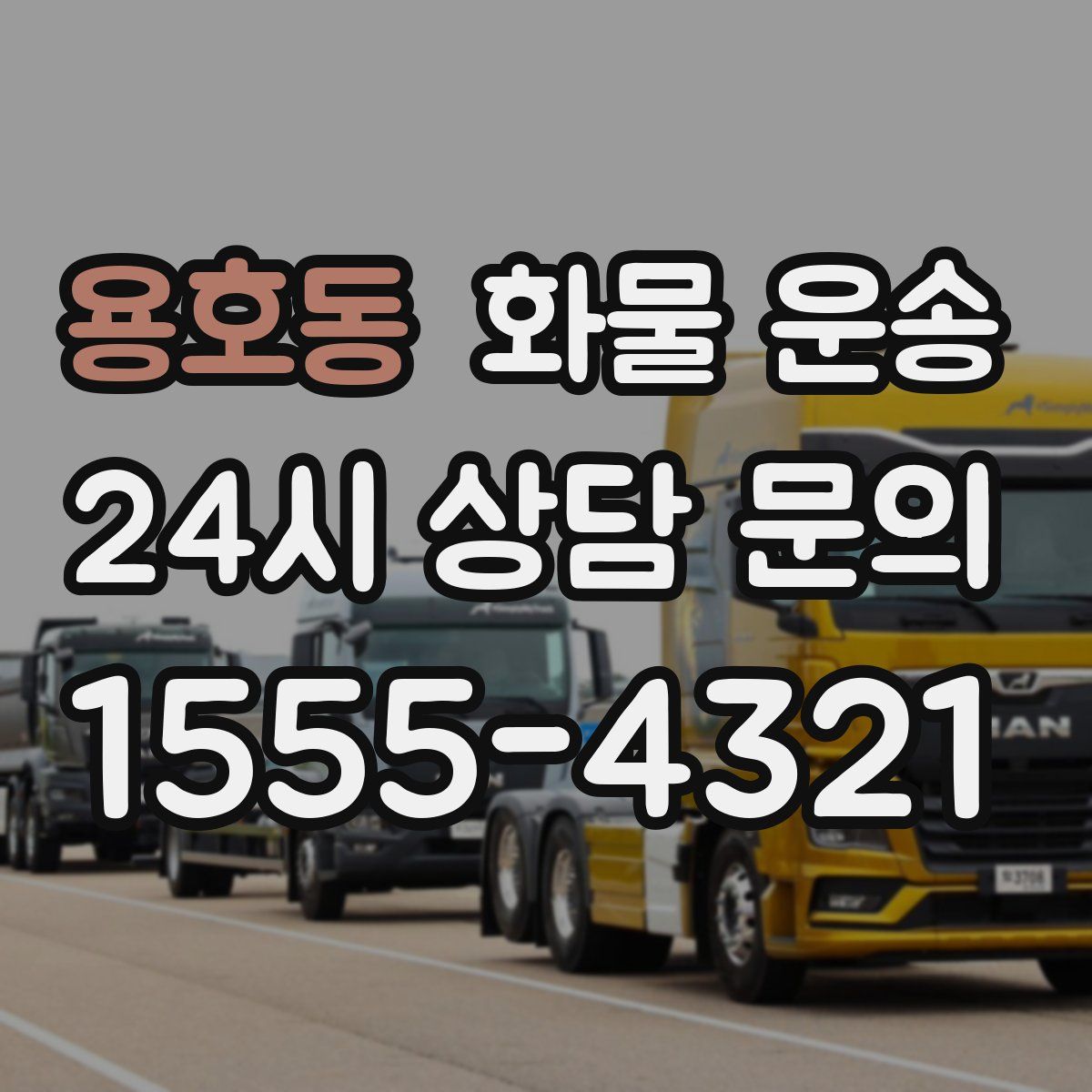 용호동 화물 운송