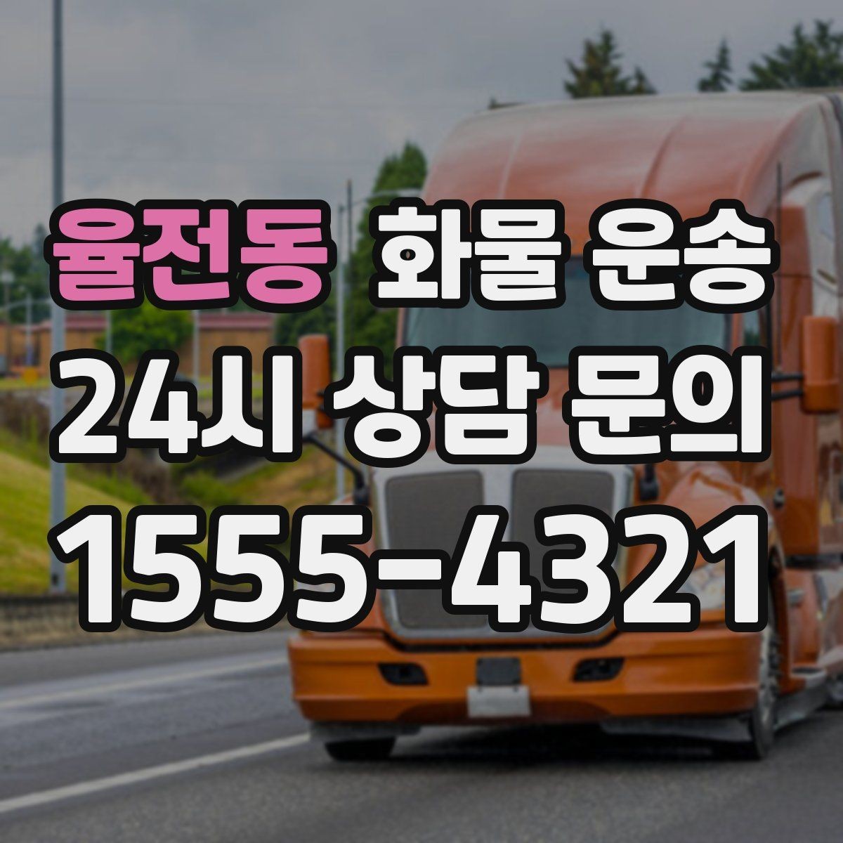 율전동 화물 운송 차량별 적재함 규격을 확인해야 하는 이유