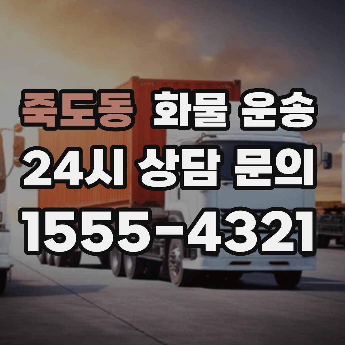 죽도동 화물 운송