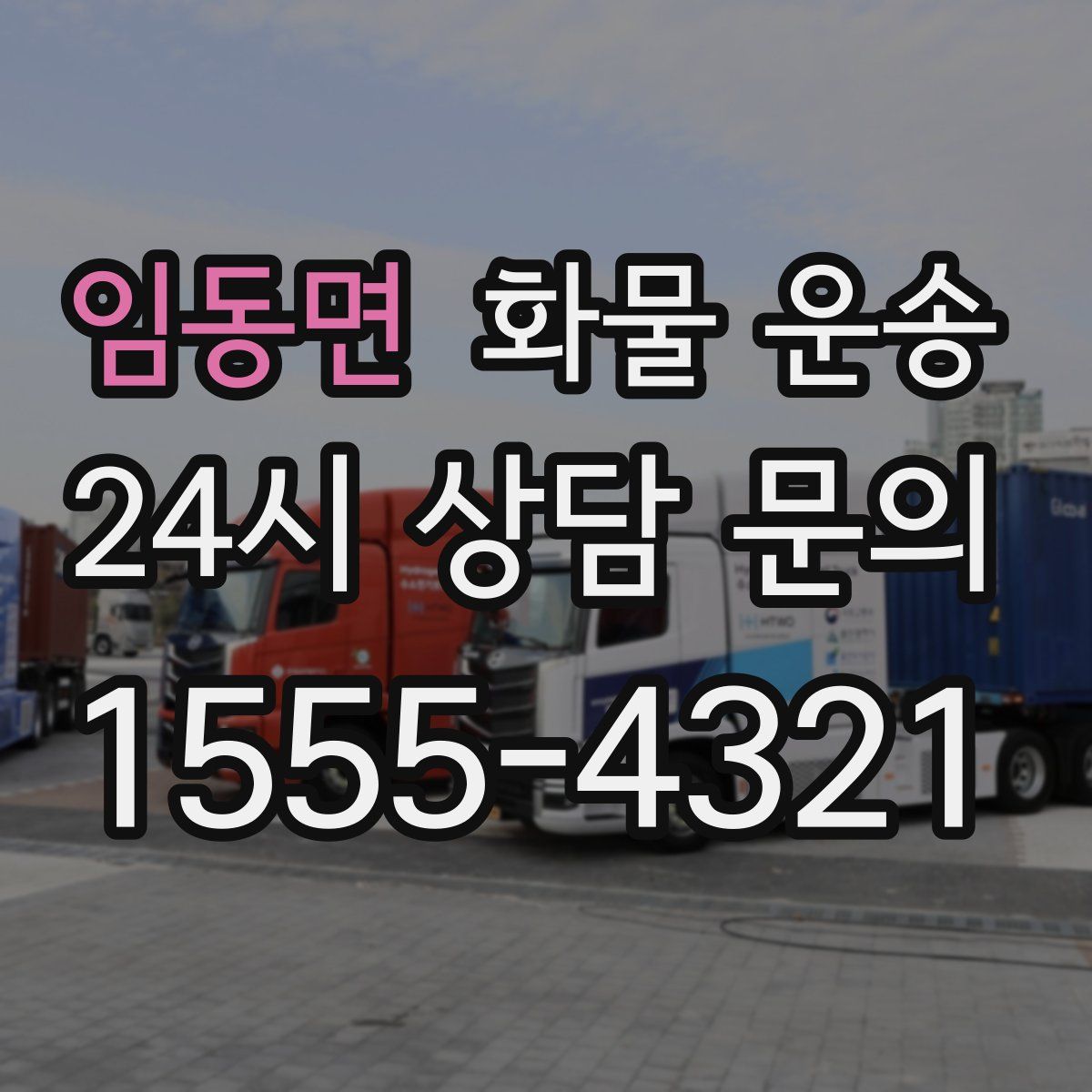 임동면 화물 운송