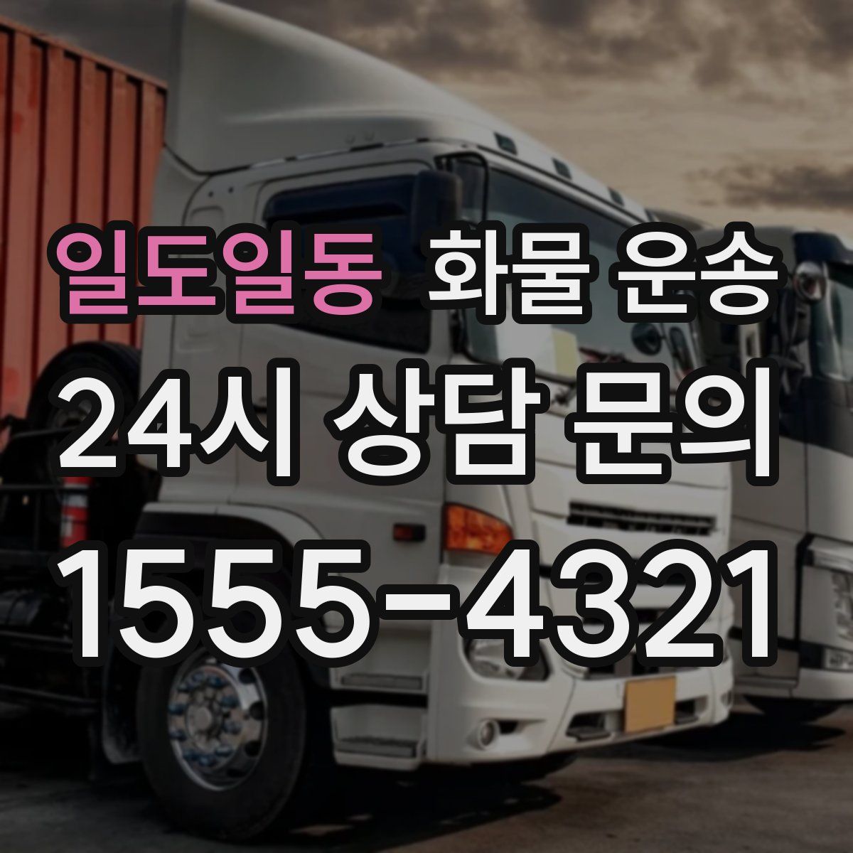 일도일동 화물 운송