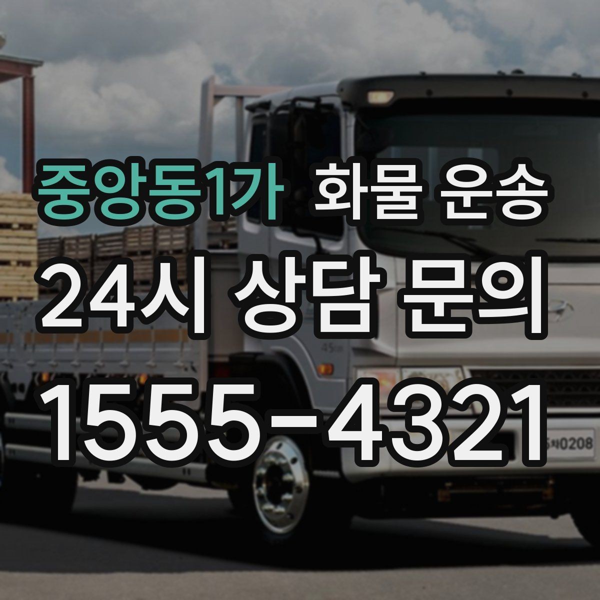 중앙동1가 화물 운송 화분 식물 운송 시 흔들림 최소화 방법