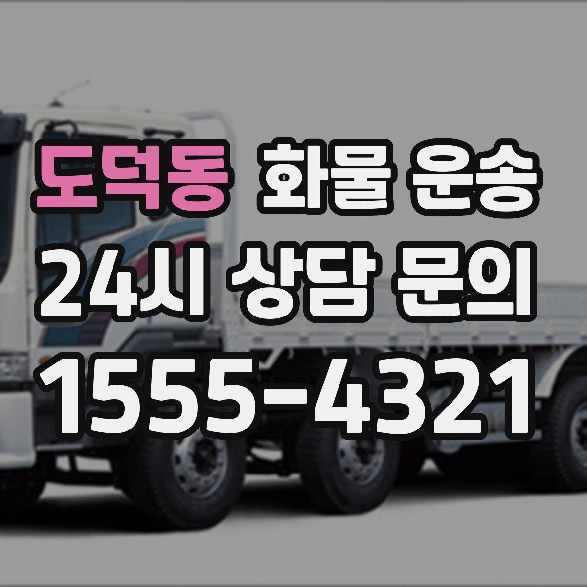 도덕동 화물 운송