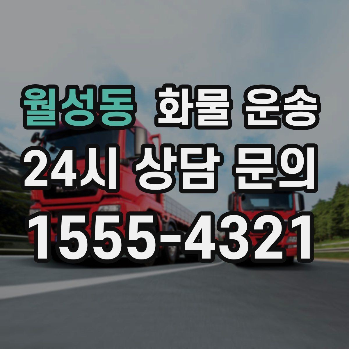 월성동 화물 운송 혼적 가능한 조건을 현실적으로 정리