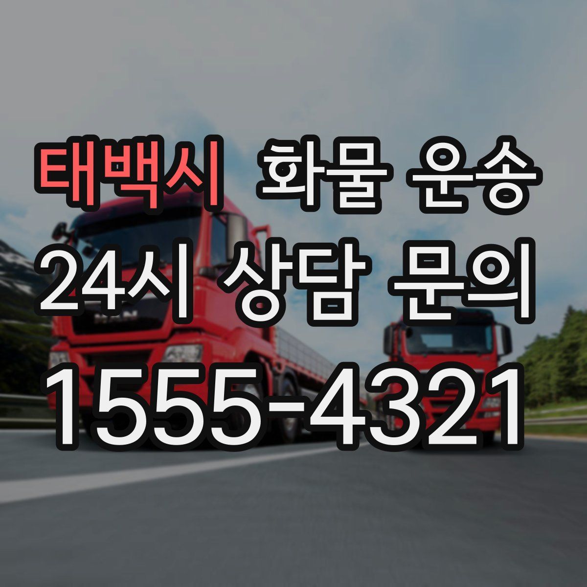 태백시 화물 운송