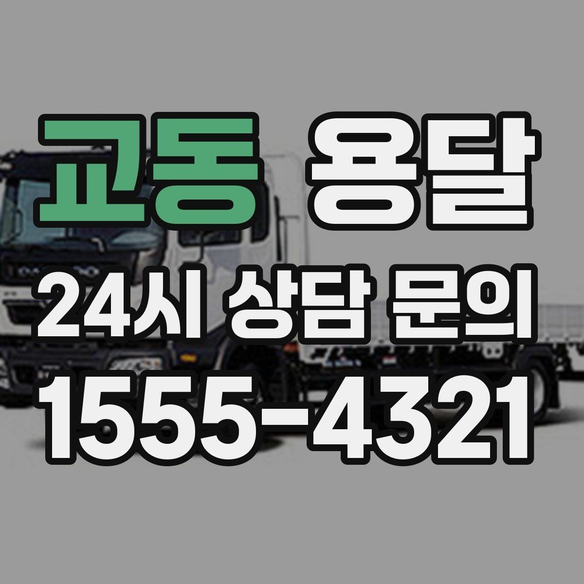 교동 용달 반려동물 케이지 용품까지 안전하게 옮기는 팁