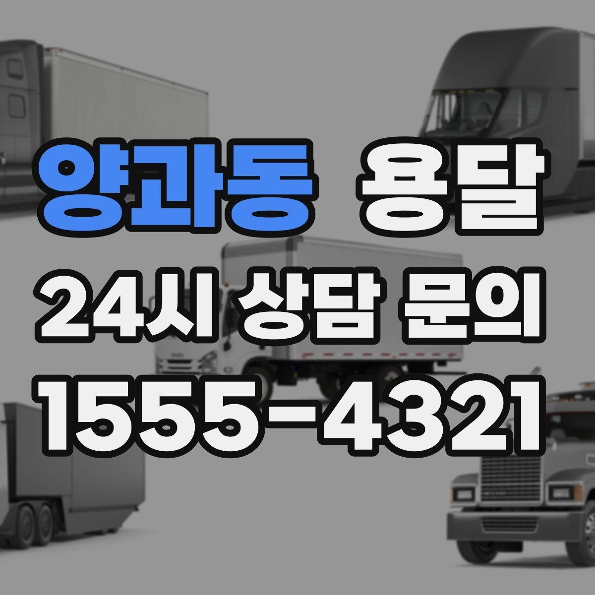양과동 용달 안전 속도 비용을 균형 있게 고르는 방법