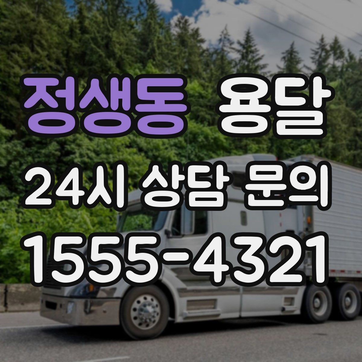 정생동 용달 화분 식물 운반, 흙 쏟아짐 방지 방법