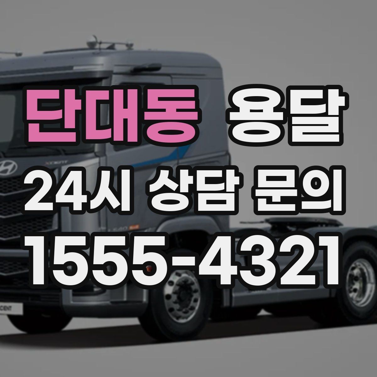 단대동 용달 반려동물 케이지 용품까지 안전하게 옮기는 팁
