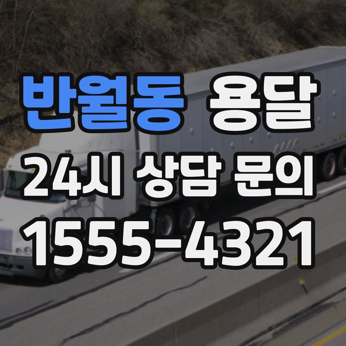 반월동 용달 반려동물 용품까지 깔끔하게 옮기는 정리 팁