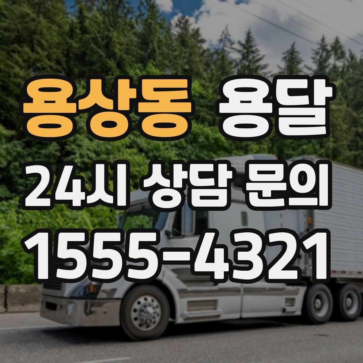 용상동 용달 반려동물 용품까지 깔끔하게 옮기는 정리 팁