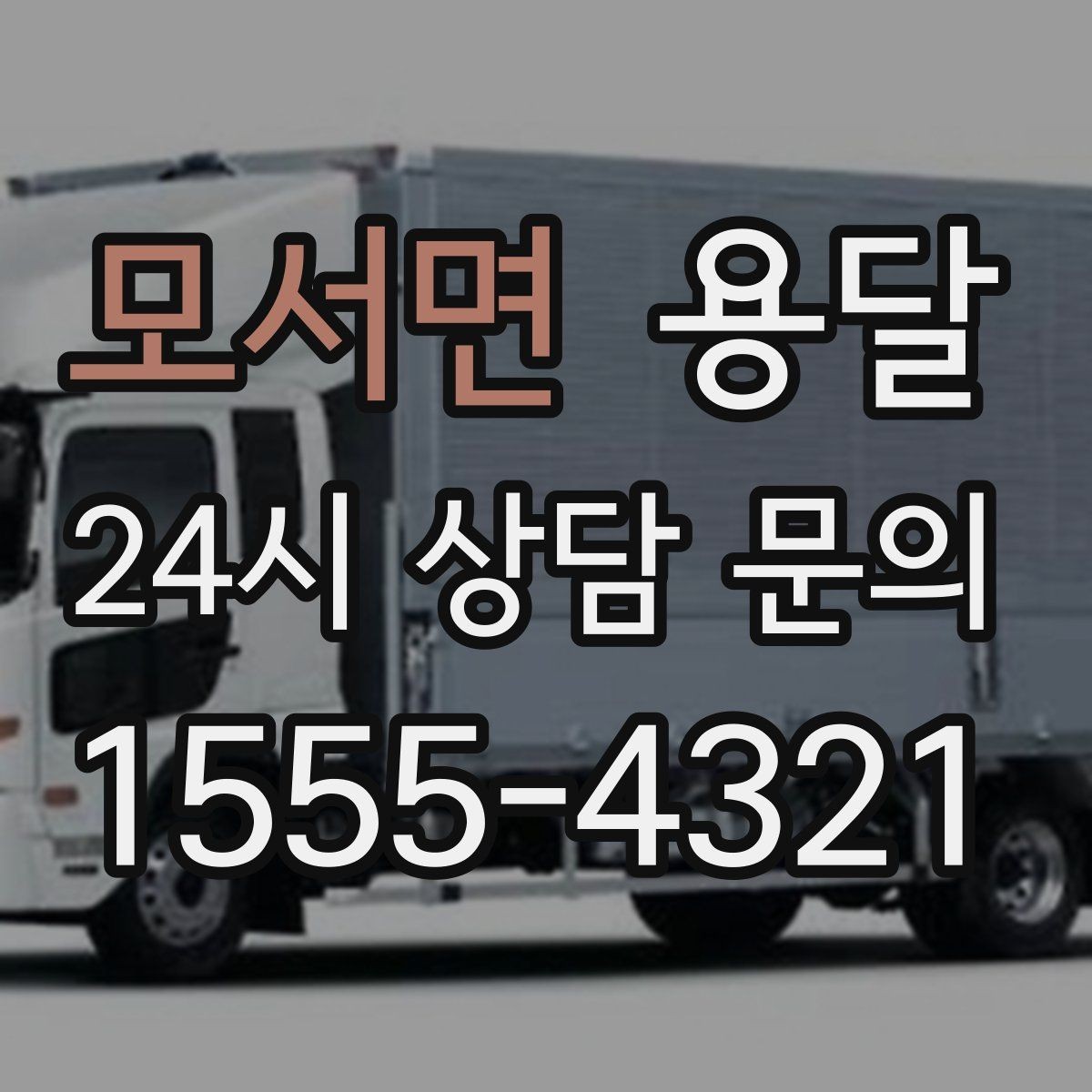 모서면 용달 화분 식물 운반 시 흔들림 최소화 요령