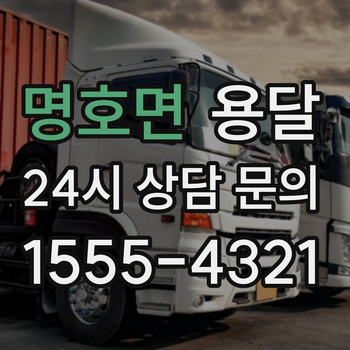 명호면 용달 반려동물 용품까지 깔끔하게 옮기는 정리 팁