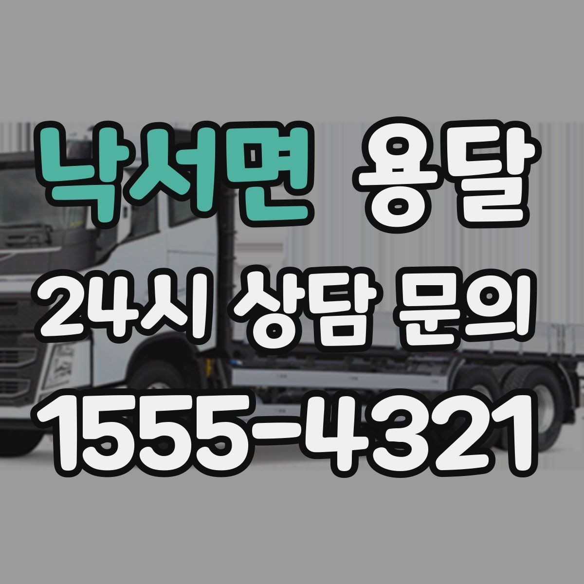 낙서면 용달 반려동물 케이지 용품까지 안전하게 옮기는 팁