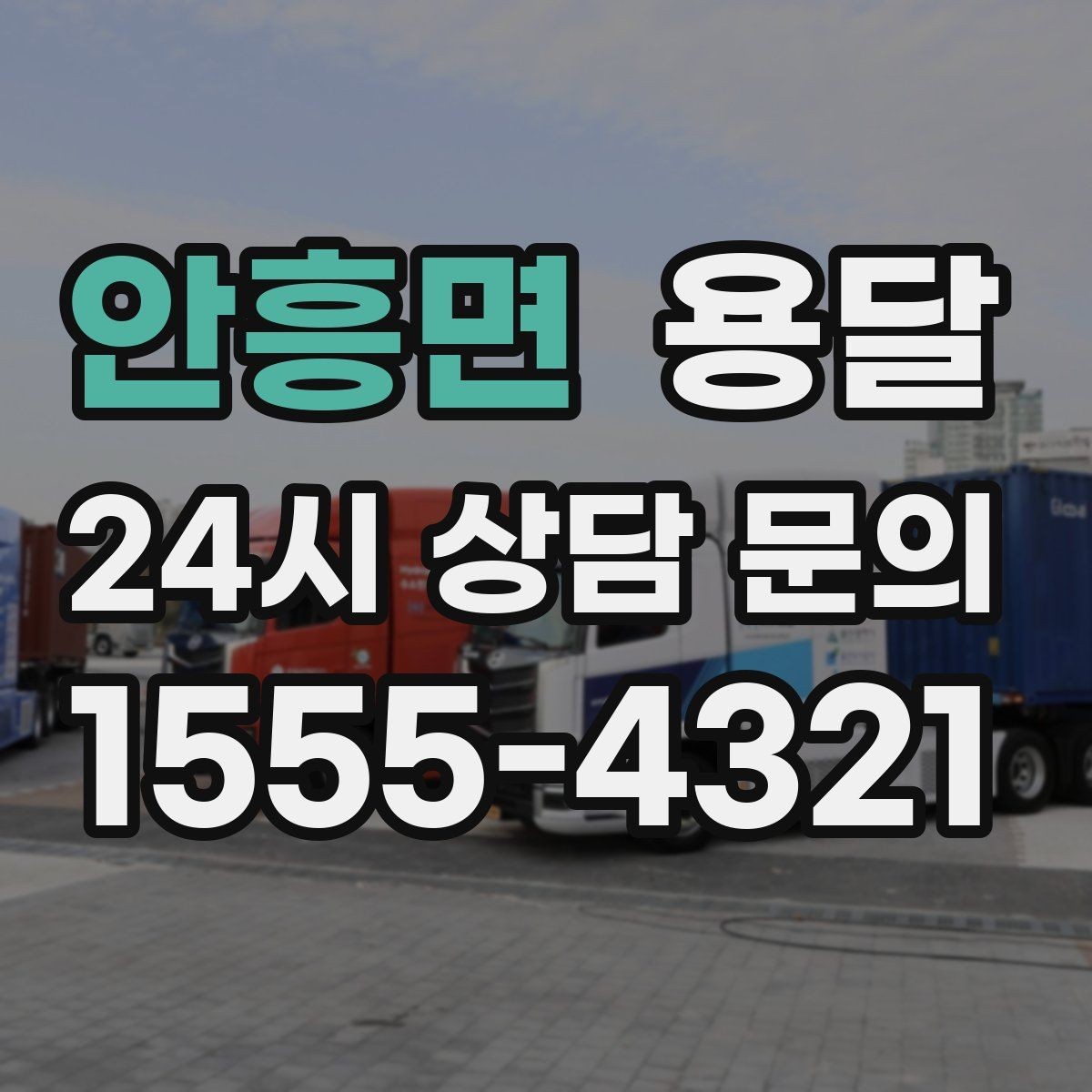 안흥면 용달 반려동물 케이지 용품까지 안전하게 옮기는 팁