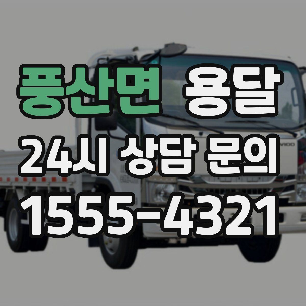 풍산면 용달 화분 식물 운반 시 흔들림 최소화 요령