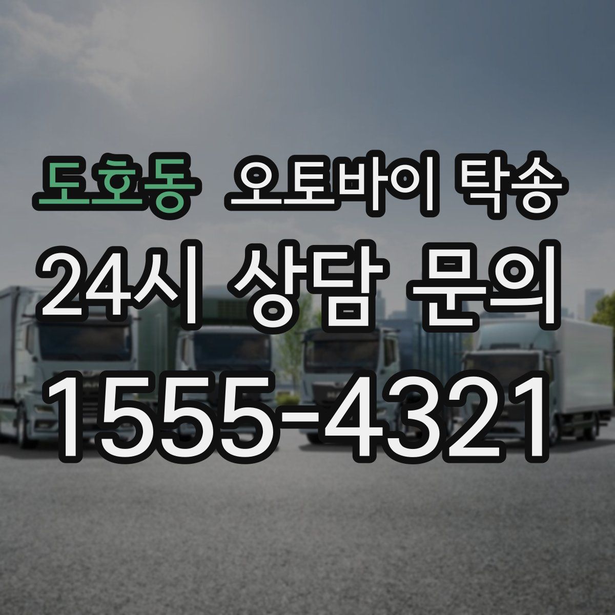 도호동 오토바이 탁송