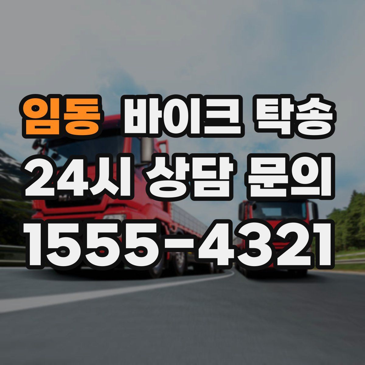 임동 바이크 탁송