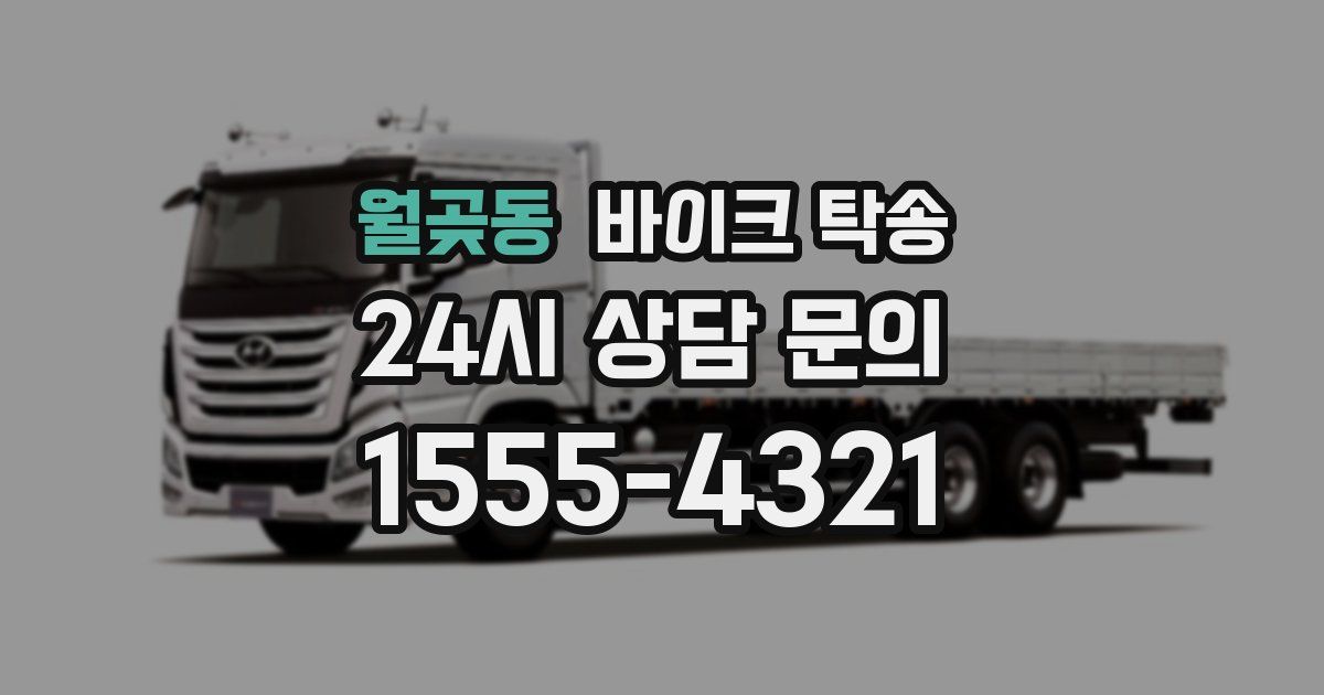 월곶동 바이크 탁송