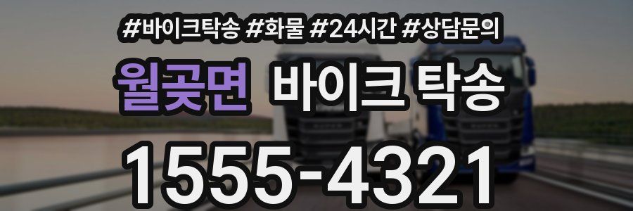 월곶면 바이크 탁송