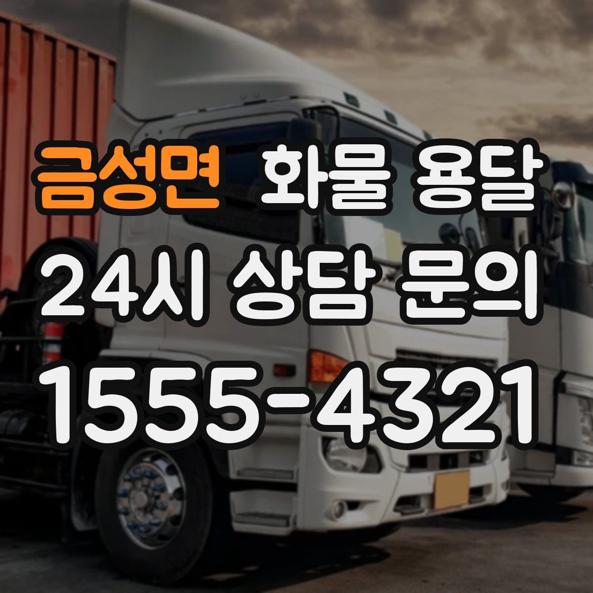 금성면 화물 용달