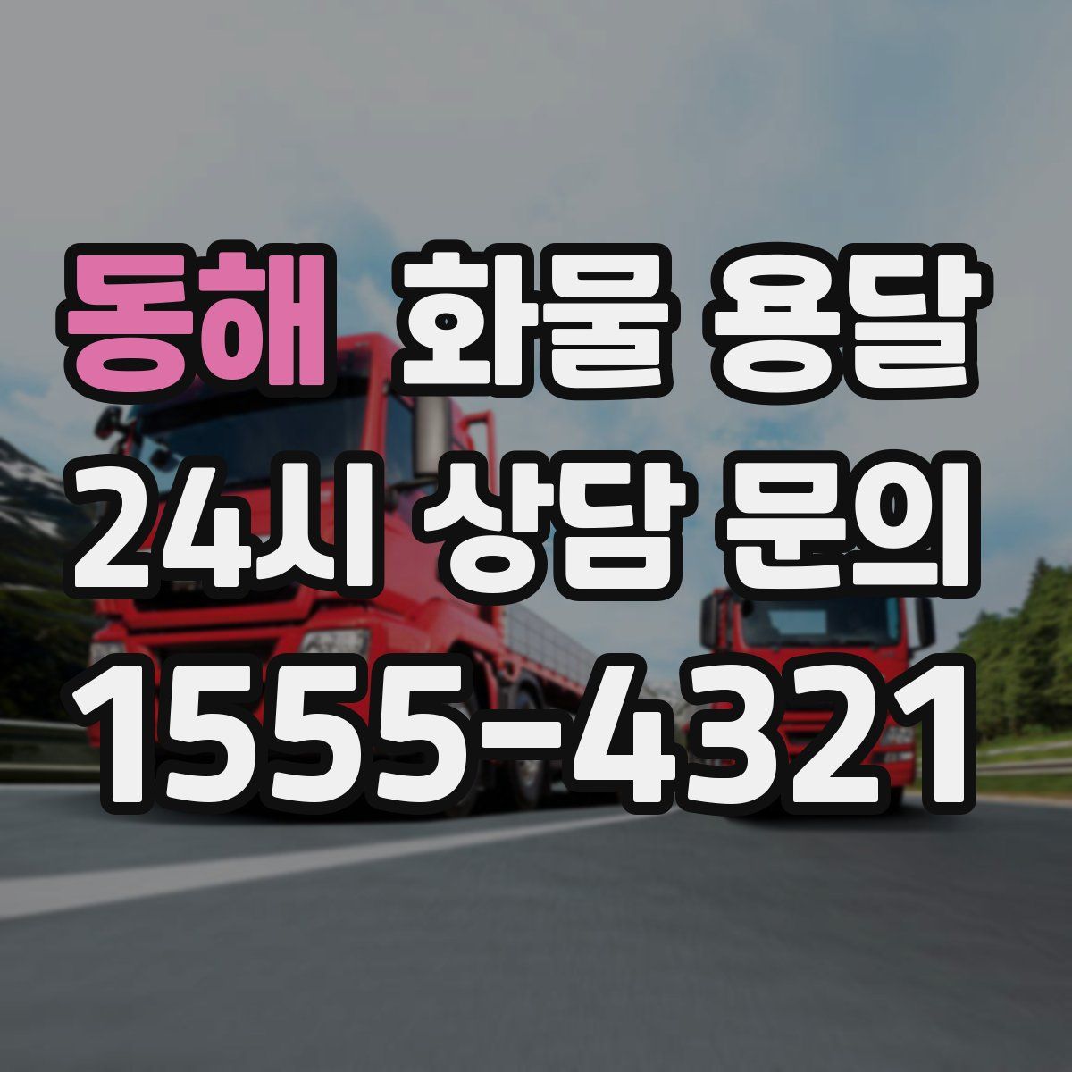 동해 화물 용달