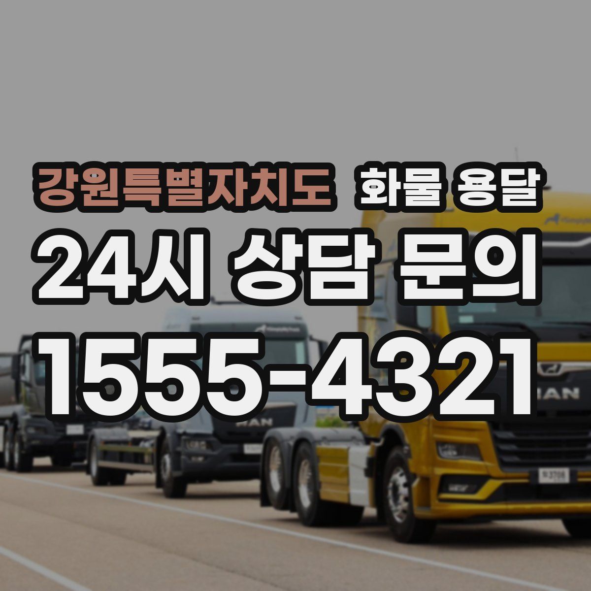 강원특별자치도 화물 용달