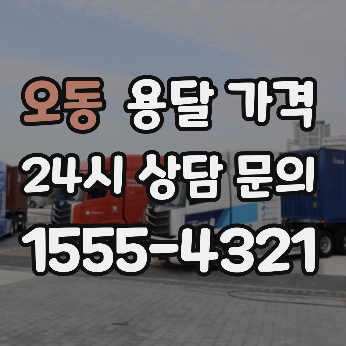 오동 용달 가격