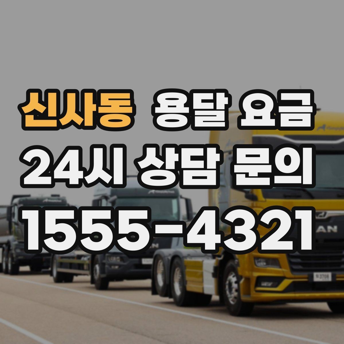 신사동 용달 요금 즉시 운송 서비스 특징